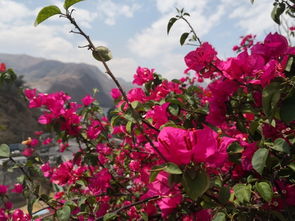 攀枝花,非常值得去的地方