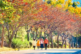 新年喜訊 攀枝花陽光康養產業獲評 2016四川十大改革轉型發展案例