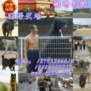 攀枝花肉狗養(yǎng)殖場肉狗苗崽價格_農(nóng)副產(chǎn)品_世界工廠網(wǎng)