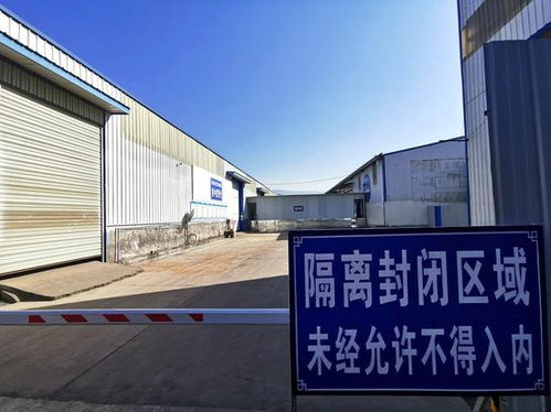 每車必檢 人物同防 攀枝花市進口冷鏈食品集中監管倉 上新 升級