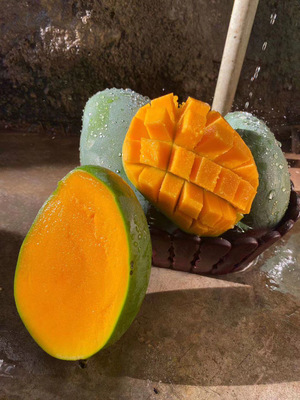 攀枝花凱特芒 大臉芒來襲，香甜多汁等你搶