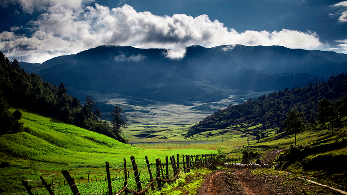 攀枝花 從鋼鐵重鎮到國家認證的“天堂”